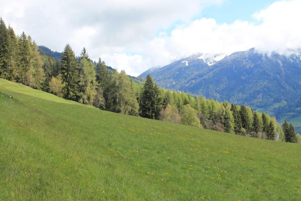 La Mansarda Di Casa Vacanze La Vite Bordogna Exterior foto