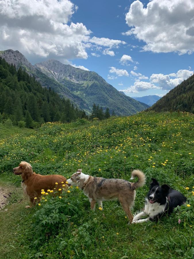 La Mansarda Di Casa Vacanze La Vite Bordogna Exterior foto